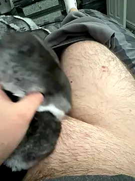 Furdale online show from 9, 9, 2025