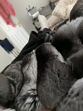 Furdale online show from 28, 2, 2026