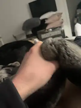 Furdale online show from 16, 2, 2025