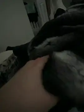 Furdale online show from 2, 2, 2026