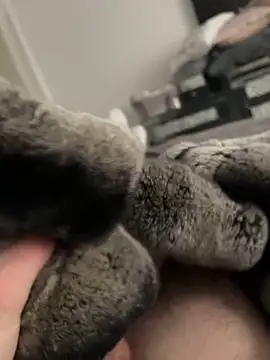 Furdale online show from 10, 2, 2025