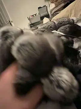 Furdale online show from 20, 2, 2026