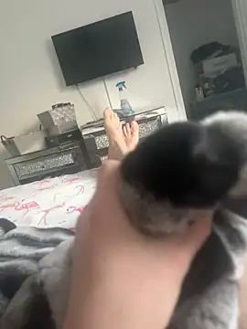 Furdale online show from 30, 1, 2025