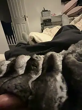 Furdale online show from 6, 2, 2026