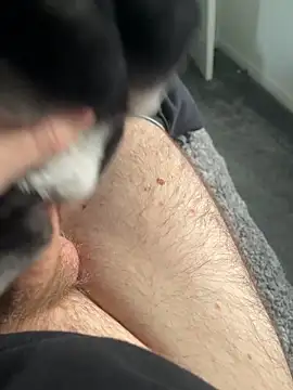 Furdale online show from 16, 1, 2025