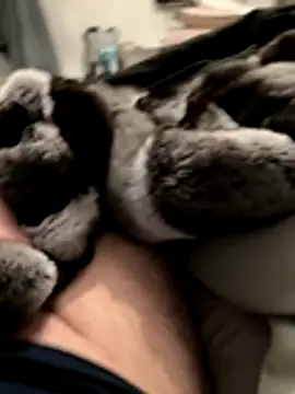 Furdale online show from 18, 11, 2025