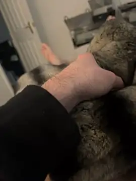 Furdale online show from 17, 2, 2025