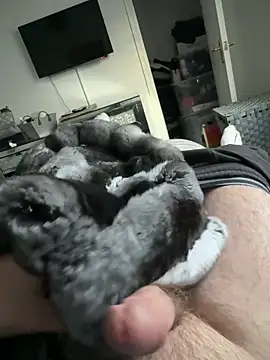 Furdale online show from 19, 9, 2025