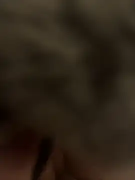 Furdale online show from 24, 1, 2025