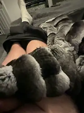 Furdale online show from 12, 11, 2025