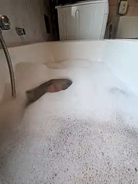 toeloverlive online show from 12, 3, 2026