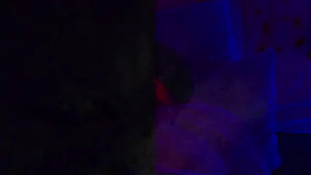 LuckyLefty79 online show from 22, 10, 2025