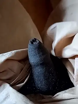 malluflash online show from 12, 1, 2026