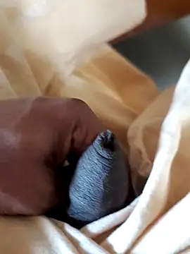 malluflash online show from 7, 2, 2026