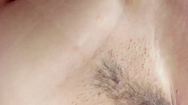 ms pickless online show from 12, 3, 2025