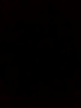 rodovlaz online show from 5, 10, 2025