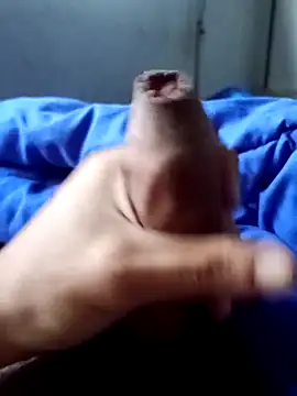 rodovlaz online show from 2, 4, 2026