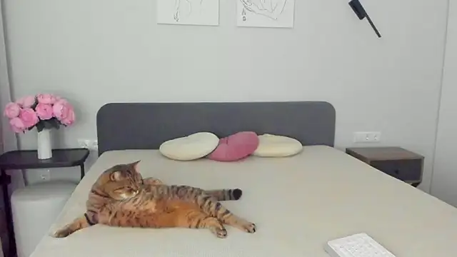 miss emily  online show from 10, 4, 2026