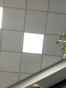 tattooed test online show from 19, 11, 2025