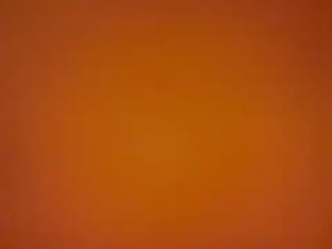 tattooed test online show from 10, 9, 2025