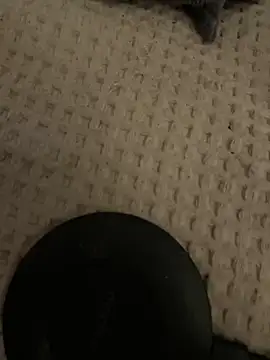 Snapshot of rippedbritish chatting on 2, 12, 2025 rippedbritish online show from 2, 12, 2025