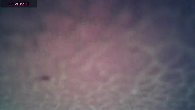 SexDiffrent online show from 27, 11, 2025