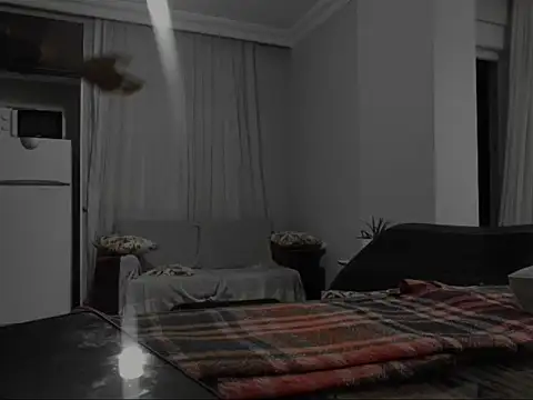 ALPHANDRE online show from 8, 10, 2025