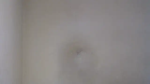 AlexNudo online show from 26, 2, 2025