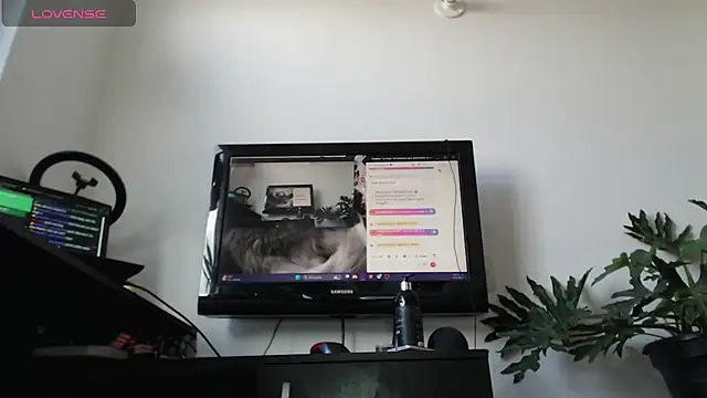 Snapshot of cat_salo chatting on 2, 3, 2025 cat salo online show from 2, 3, 2025