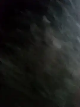 22orlando online show from 19, 11, 2025