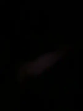 Dannadcz online show from 12, 4, 2026