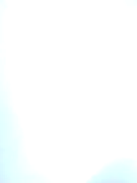 BuckWessle online show from 17, 2, 2025