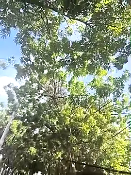 Snapshot of lady-rosse chatting on 28, 2, 2025 lady-rosse online show from 28, 2, 2025