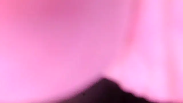 Snapshot of sr4343 chatting on 17, 2, 2026 sr4343 online show from 17, 2, 2026