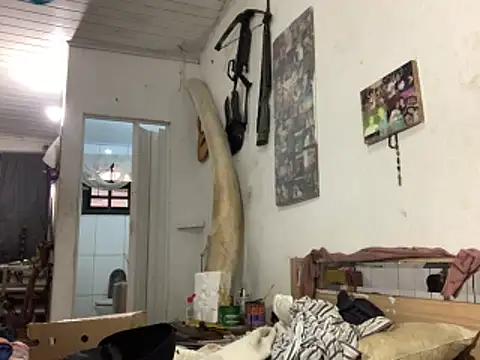 raphadoors19 online show from 23, 11, 2025