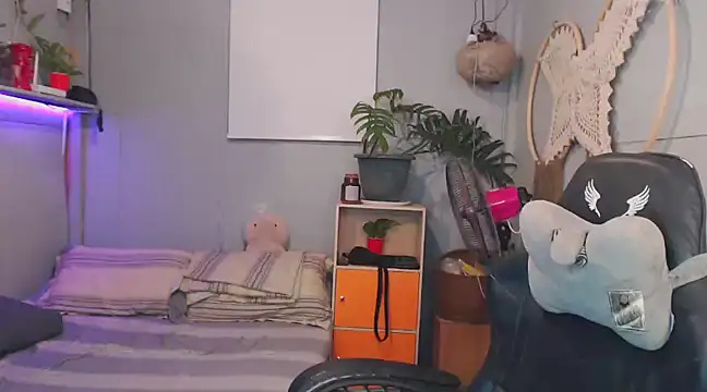 princeJayX online show from 21, 2, 2025