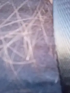 Snapshot of piiruwx chatting on 4, 3, 2026 piiruwx online show from 4, 3, 2026