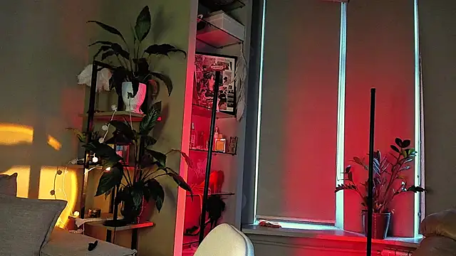 5 in one online show from 17, 12, 2024