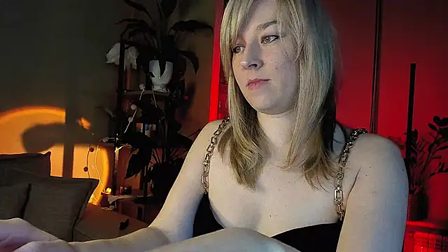 5 in one online show from 17, 12, 2024