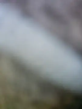 Snapshot of fuckineverett chatting on 15, 3, 2025 fuckineverett online show from 15, 3, 2025