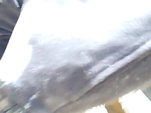 Diablo9804 online show from 10, 3, 2026