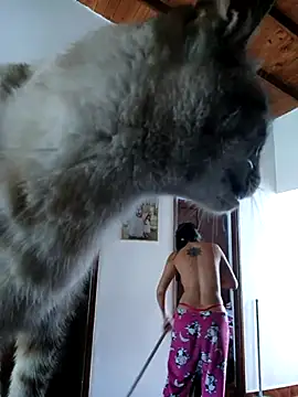 LunaZambrano online show from 14, 12, 2025