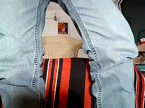 Snapshot of manan28 chatting on 8, 11, 2025 manan28 online show from 8, 11, 2025