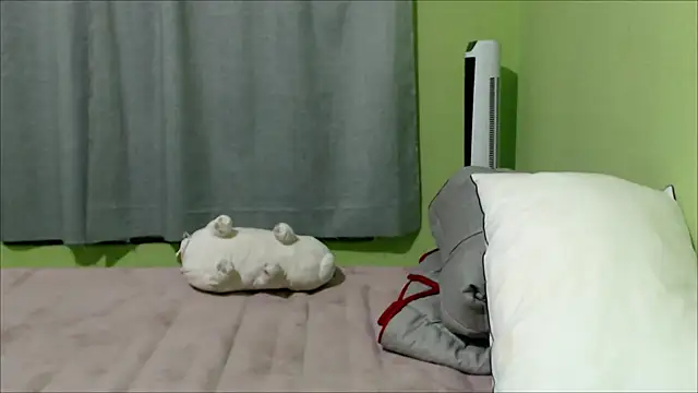 YummymeowW online show from 14, 12, 2024