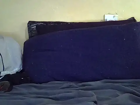 Sexy gill online show from 4, 6, 2026