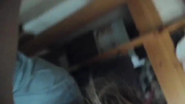 FrumCake online show from 5, 3, 2025