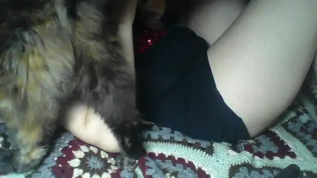 Alma Evelynne online show from 8, 1, 2026