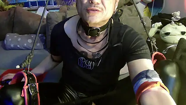 druckfug online show from 28, 3, 2026