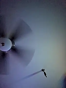 22sexytwin online show from 10, 4, 2026