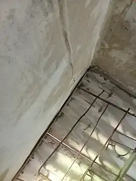 El-reyleon online show from 14, 7, 2026